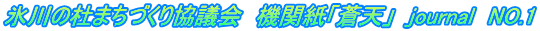 氷川の杜まちづくり協議会　機関紙「蒼天」　journal　NO.1